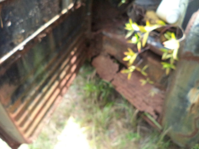 1958 Chevrolet Other