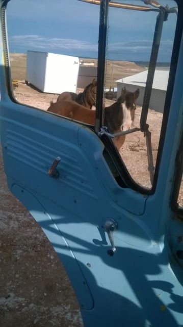 1958 Blue Ford Other Pickups Cabover Dump