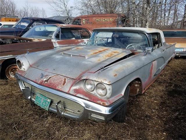 1958 Multi Ford Thunderbird --