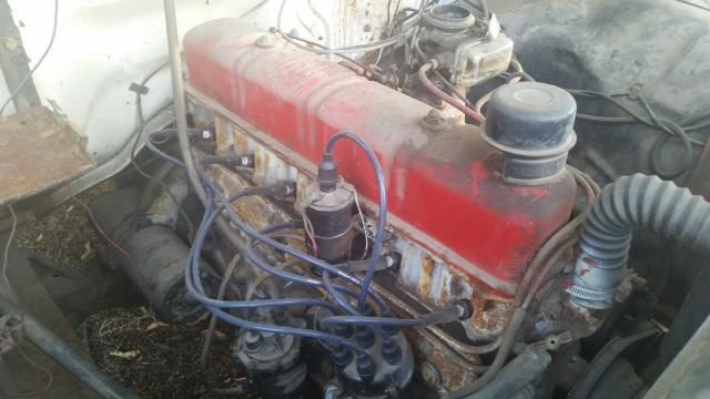 1959 Green Ford F-100