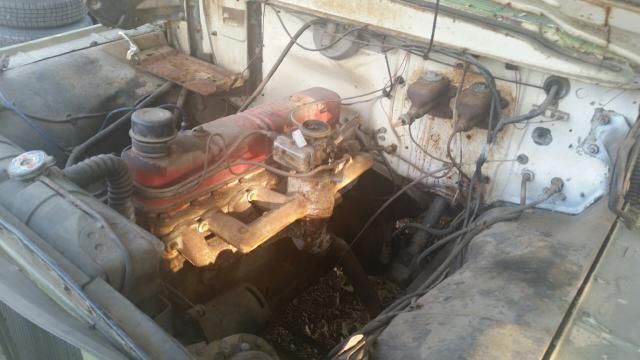 1959 Green Ford F-100