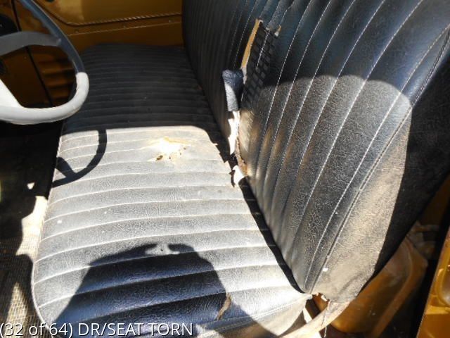 1959 Gold Chevrolet Other Pickups