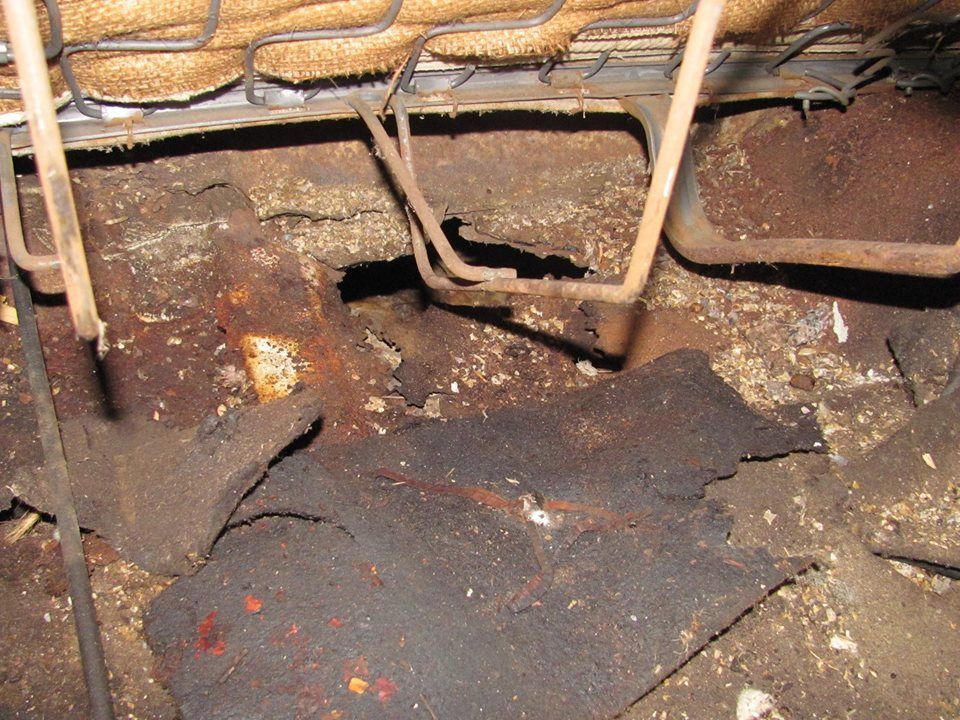 1959 Black Edsel Corsair Convertible