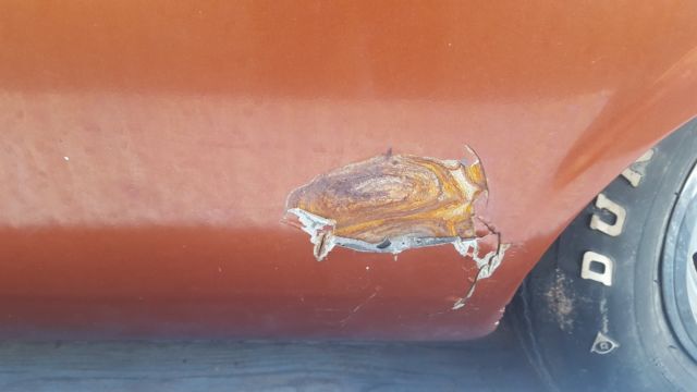 1959 Brown Chevrolet El Camino Standard Cab Pickup