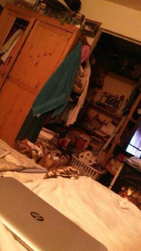 1959 Green Jaguar Other Sedan