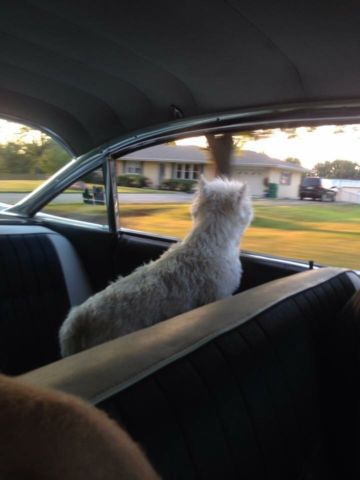 1960 White Cadillac Other Sedan