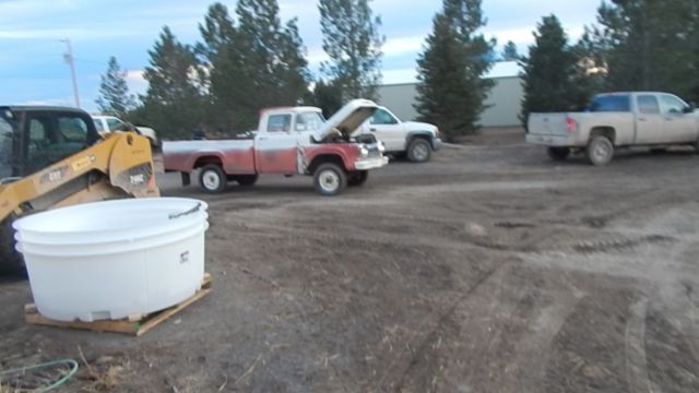 1960 Tan Ford F-100 Standard Cab Pickup