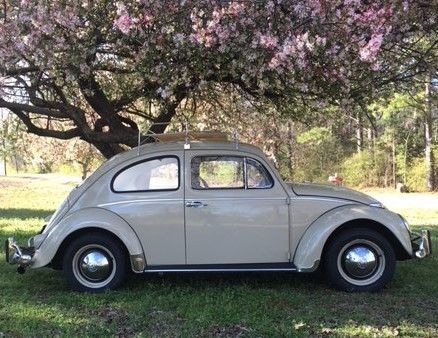 1960 Volkswagen Beetle - Classic