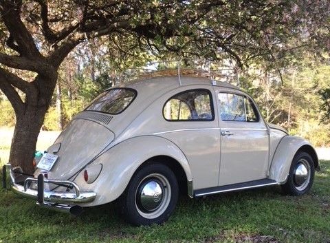 1960 Volkswagen Beetle - Classic
