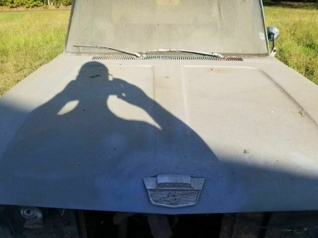 1962 Original green with touch up primer Ford Other Crew Cab Pickup