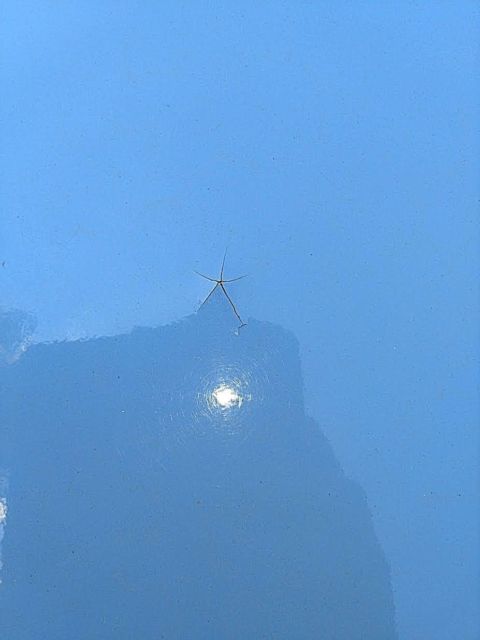 1963 Blue Ford Thunderbird