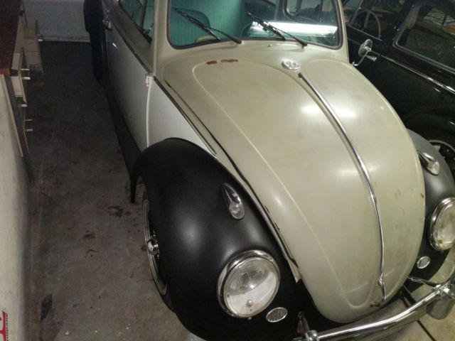 1963 Green Volkswagen Beetle - Classic Sedan