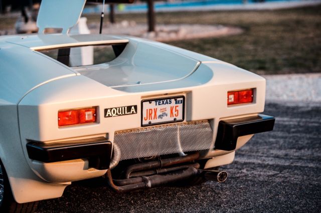 1963 Volkswagen Aquila Gullwing