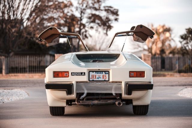 1963 Volkswagen Aquila Gullwing