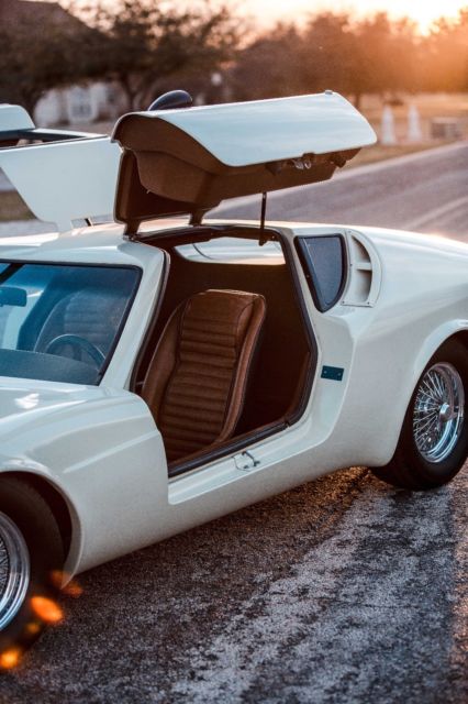 1963 Volkswagen Aquila Gullwing