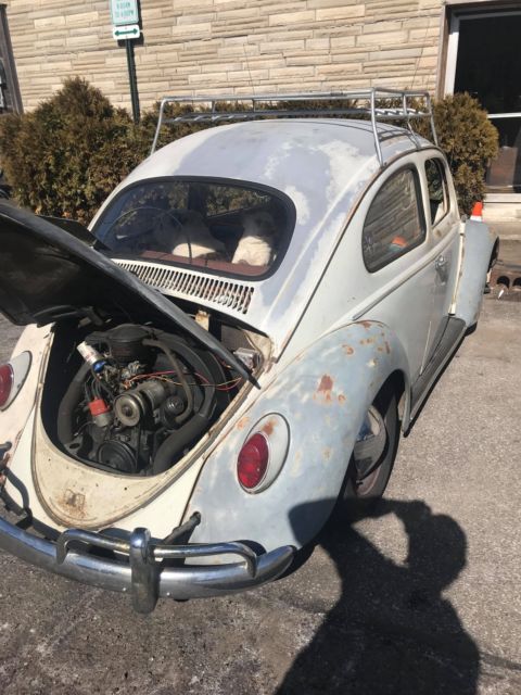 1963 grey Volkswagen Beetle - Classic Coupe