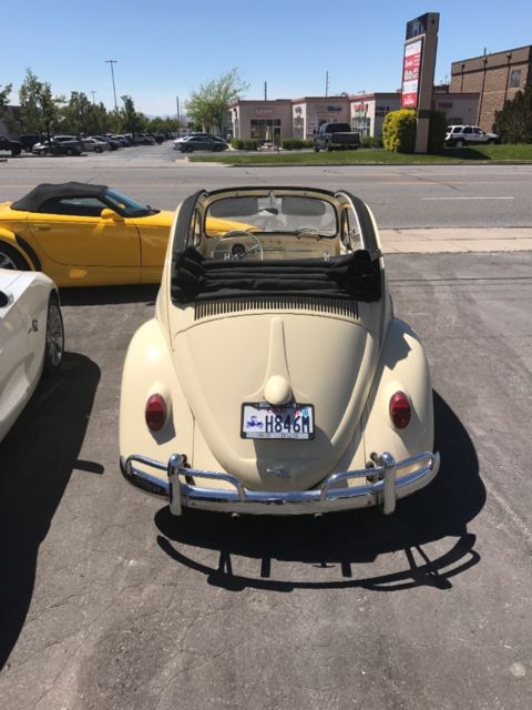 1963 Volkswagen Beetle - Classic