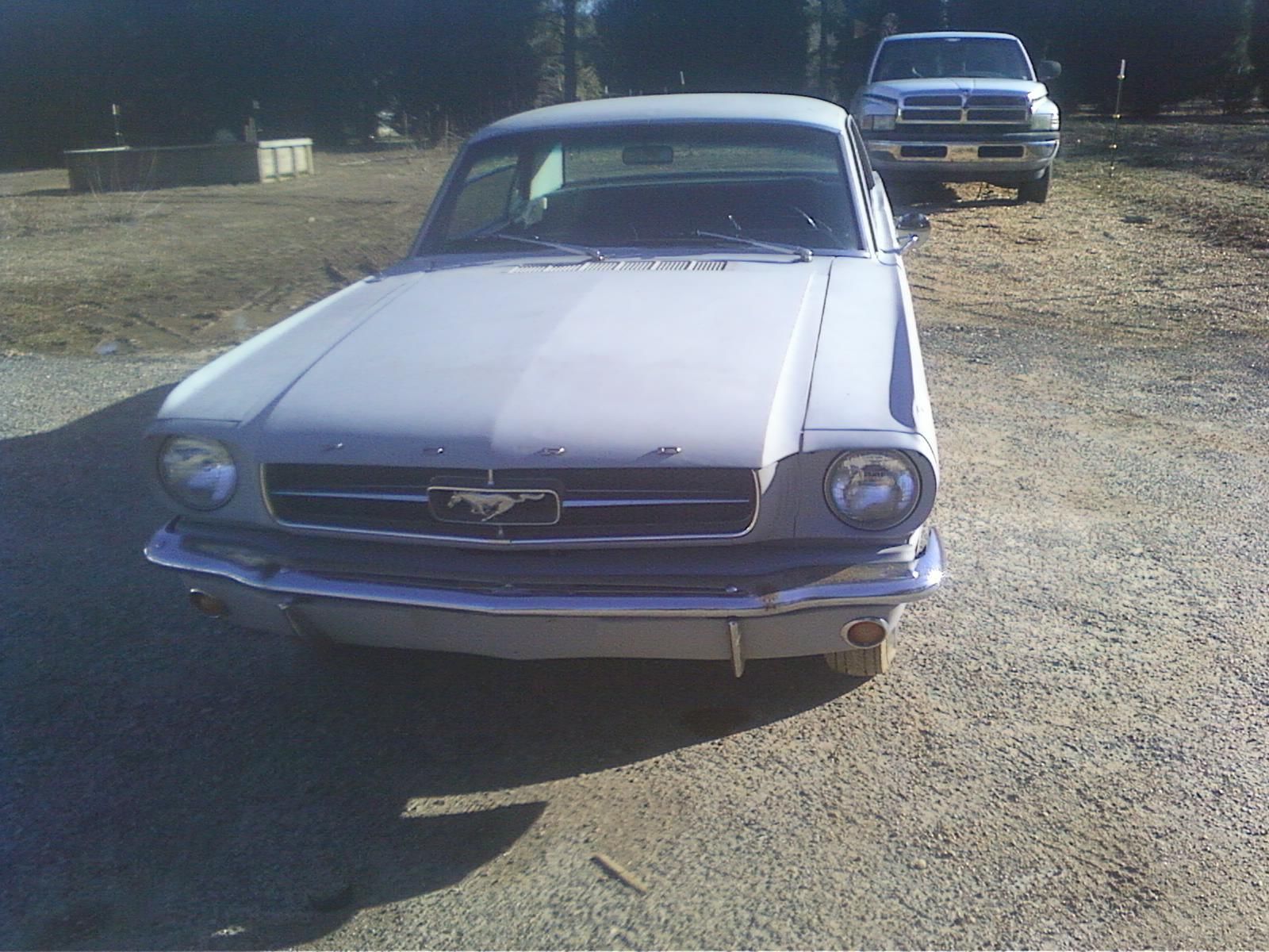 1964 originally red, but now is primered Ford Mustang U/K