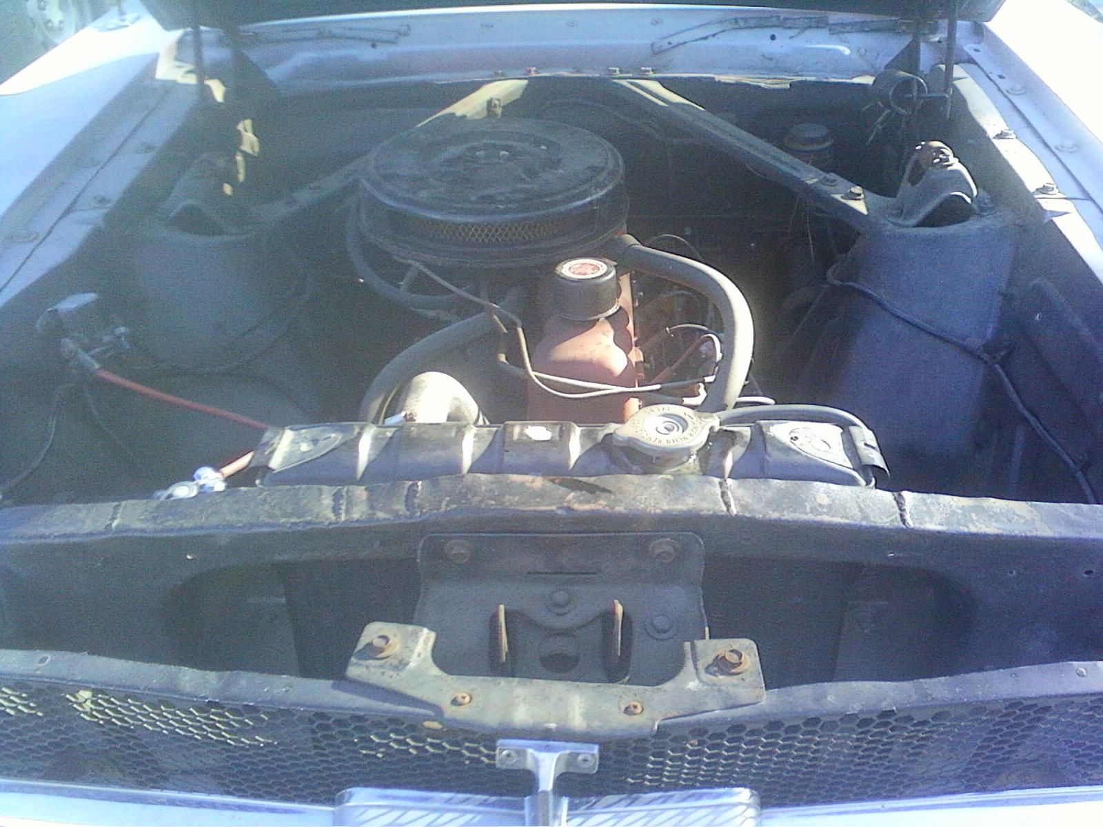 1964 originally red, but now is primered Ford Mustang U/K