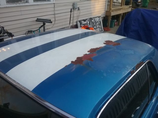 1964 Blue and White  Ford Mustang