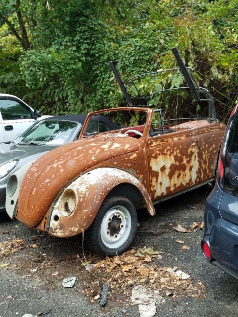 1964 Volkswagen Beetle - Classic Convertible