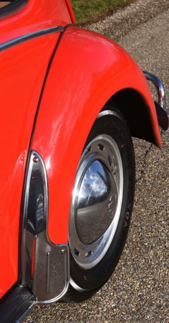 1965 Red Volkswagen Beetle - Classic Coupe