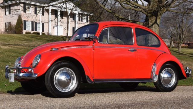 1965 Red Volkswagen Beetle - Classic Coupe