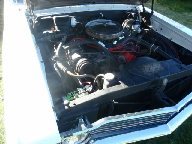 1965 Buick Skylark Hardtop