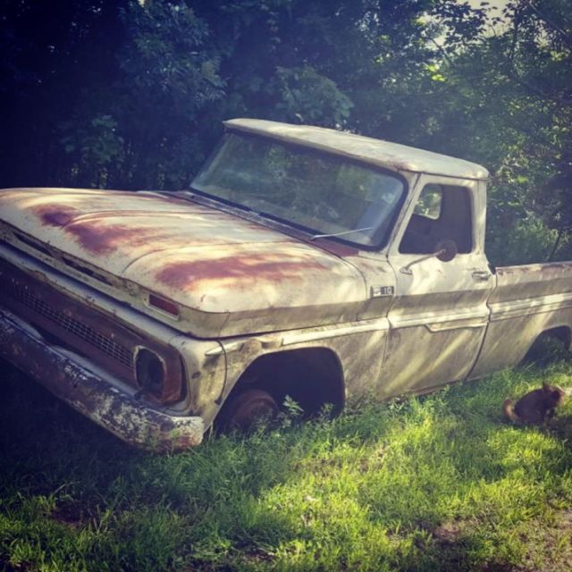 1965 Tan Chevrolet C-10