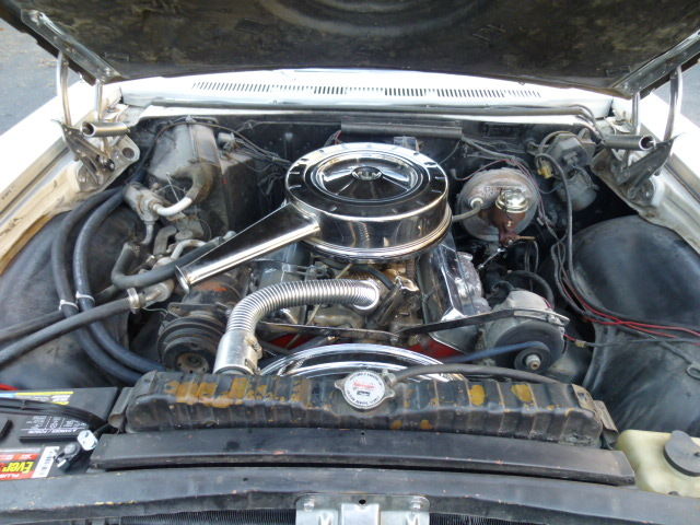 1965 White Chevrolet Capriceold Sedan