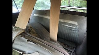 1965 Green Chevrolet Suburban