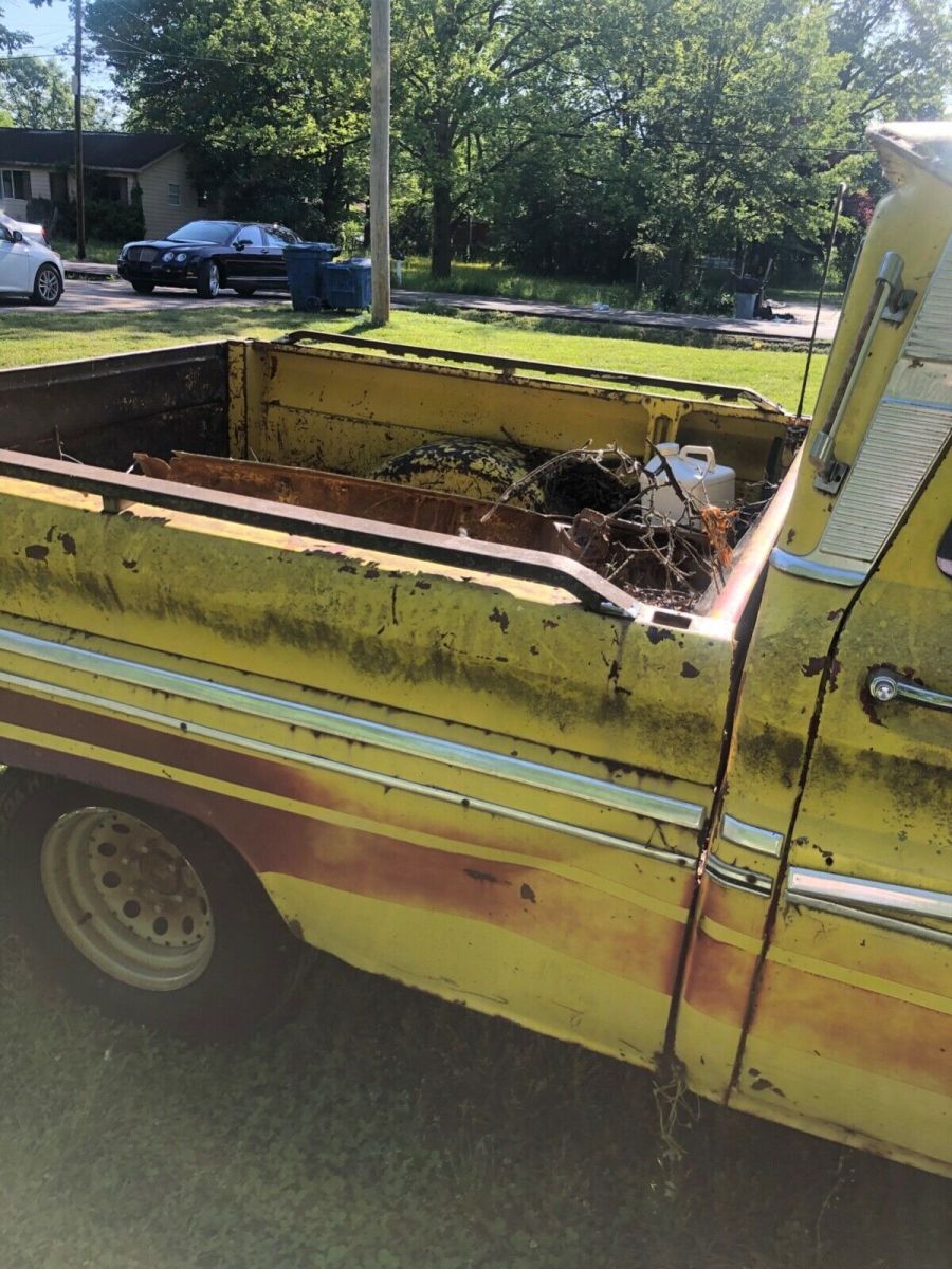 1965 Chevrolet Other Pickups
