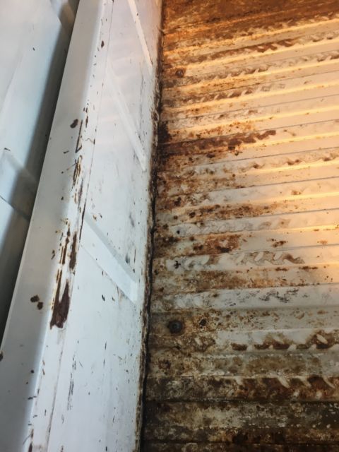 1965 White with some patina in areas. Ford F-100 Custom can short bed