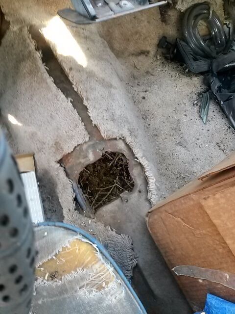 1965 Ford Falcon Sedan