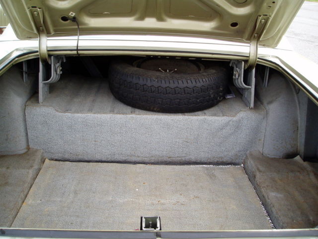 1965 Green Ford Galaxie Sedan