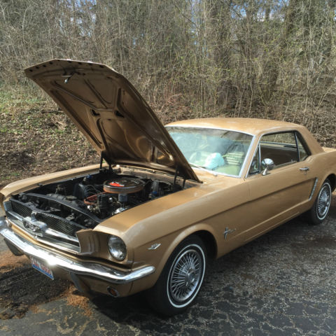 1965 Prairie Bronze Ford Mustang