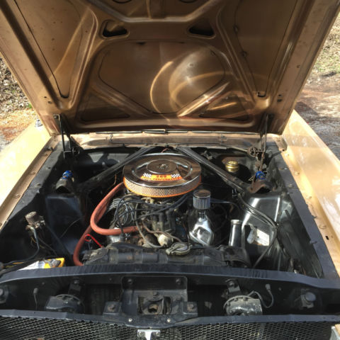 1965 Prairie Bronze Ford Mustang