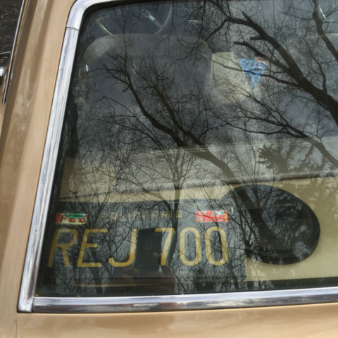 1965 Prairie Bronze Ford Mustang