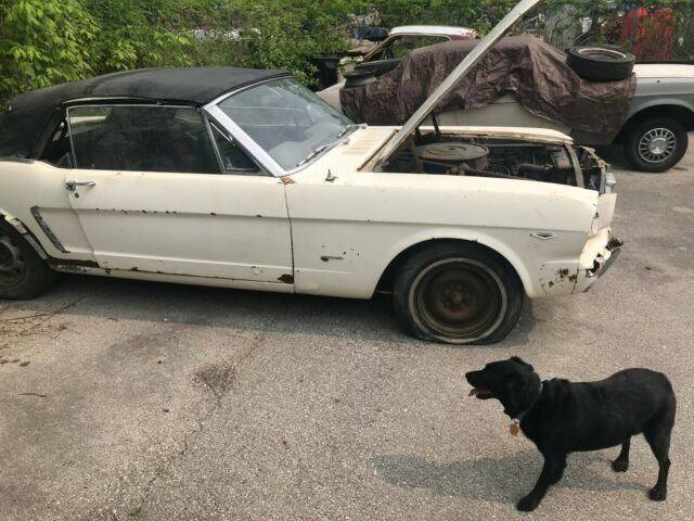 1965 White Ford Mustang Coupe