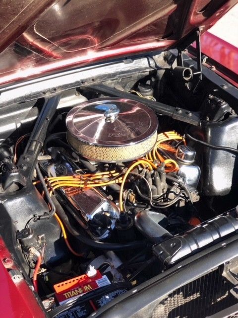 1964 vintage bergundy Ford Mustang