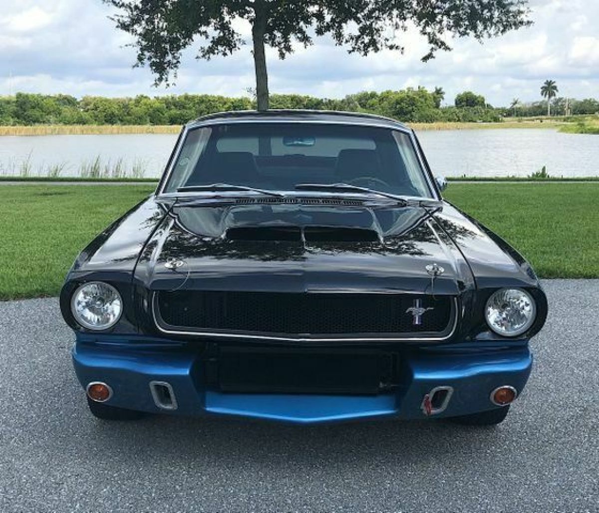 1965 Blue Ford Mustang --