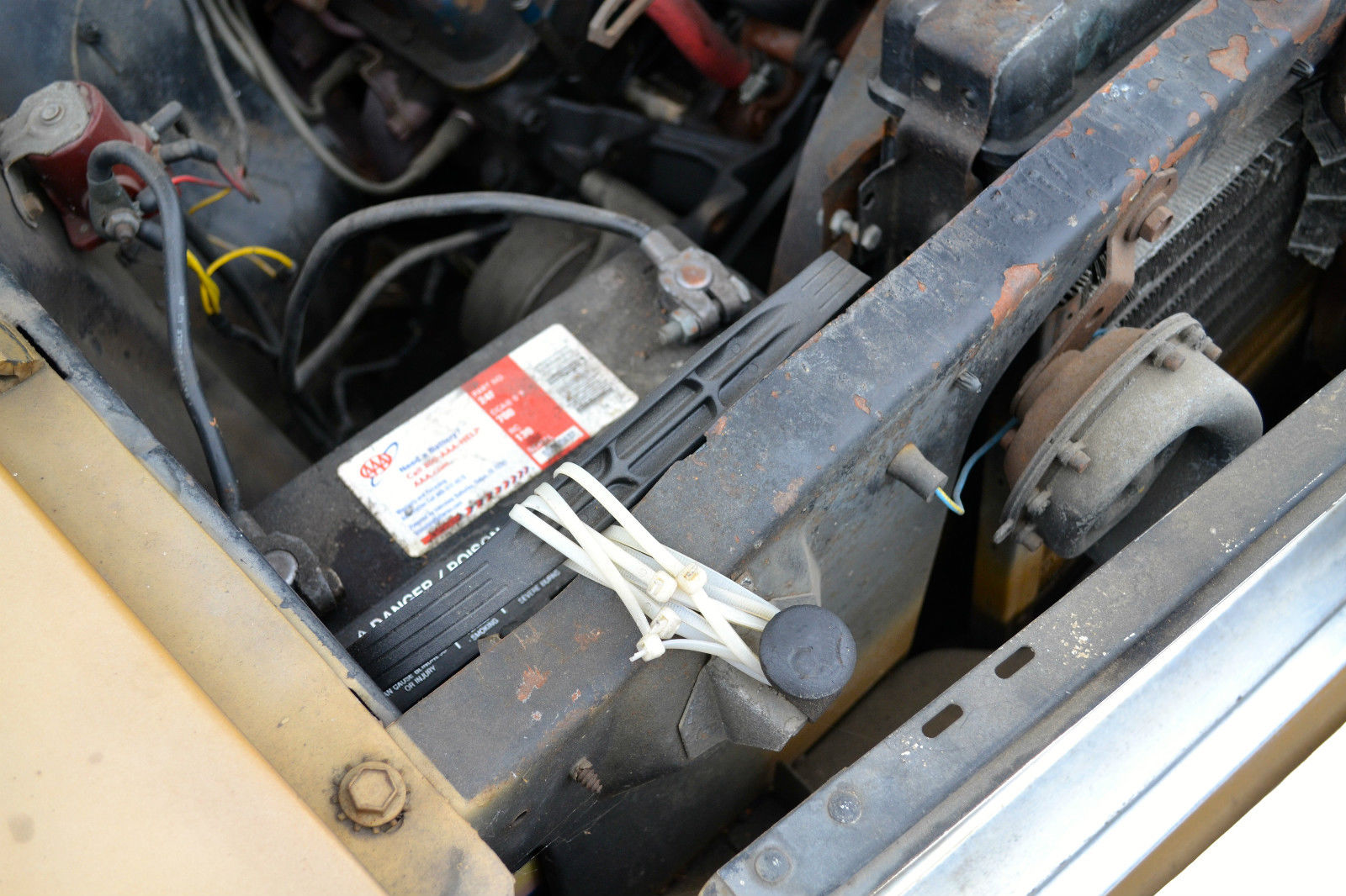 1966 Gold Ford Mustang Coupe