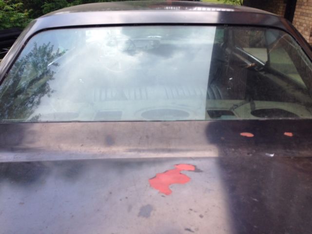 1965 Black Ford Galaxie Fastback