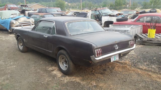 1965 brown Ford Mustang hardtop couple