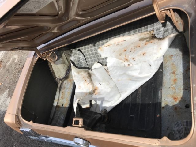 1965 Gold Ford Mustang Coupe