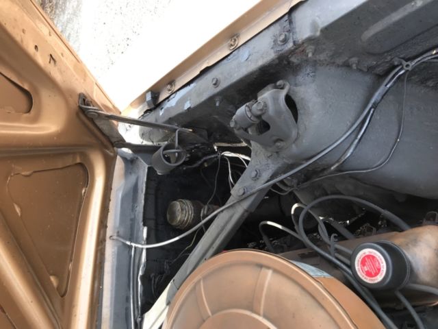 1965 Gold Ford Mustang Coupe