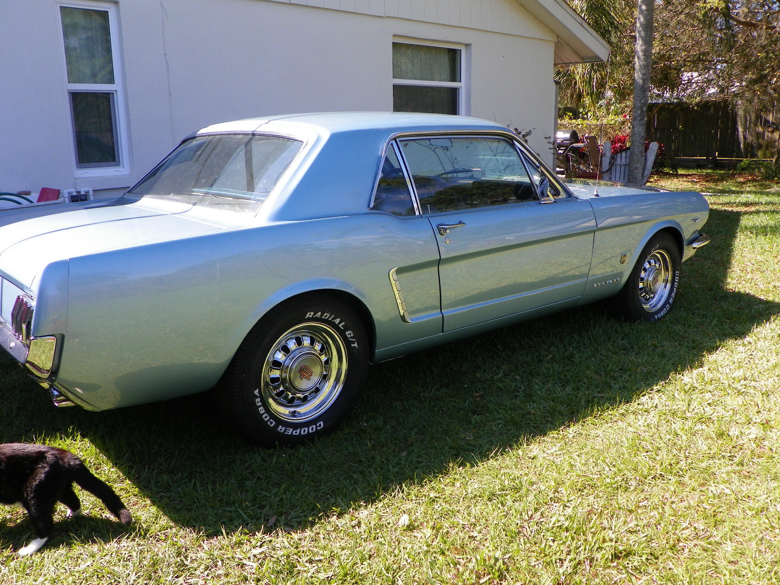 1965 Blue Ford Mustang Coupe