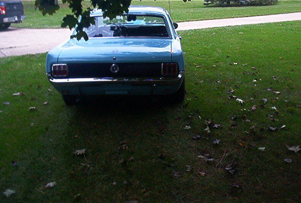 1965 TROPICAL TURQUOISE Ford Mustang Coupe