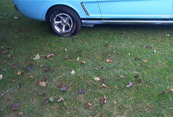 1965 TROPICAL TURQUOISE Ford Mustang Coupe