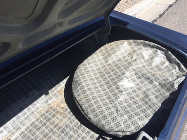 1965 Blue Ford Mustang